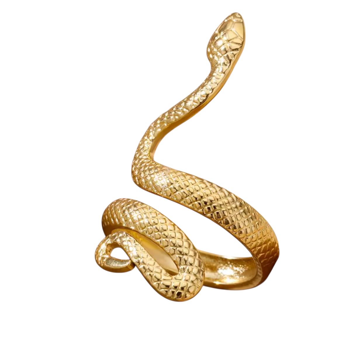 Wisdom Ring